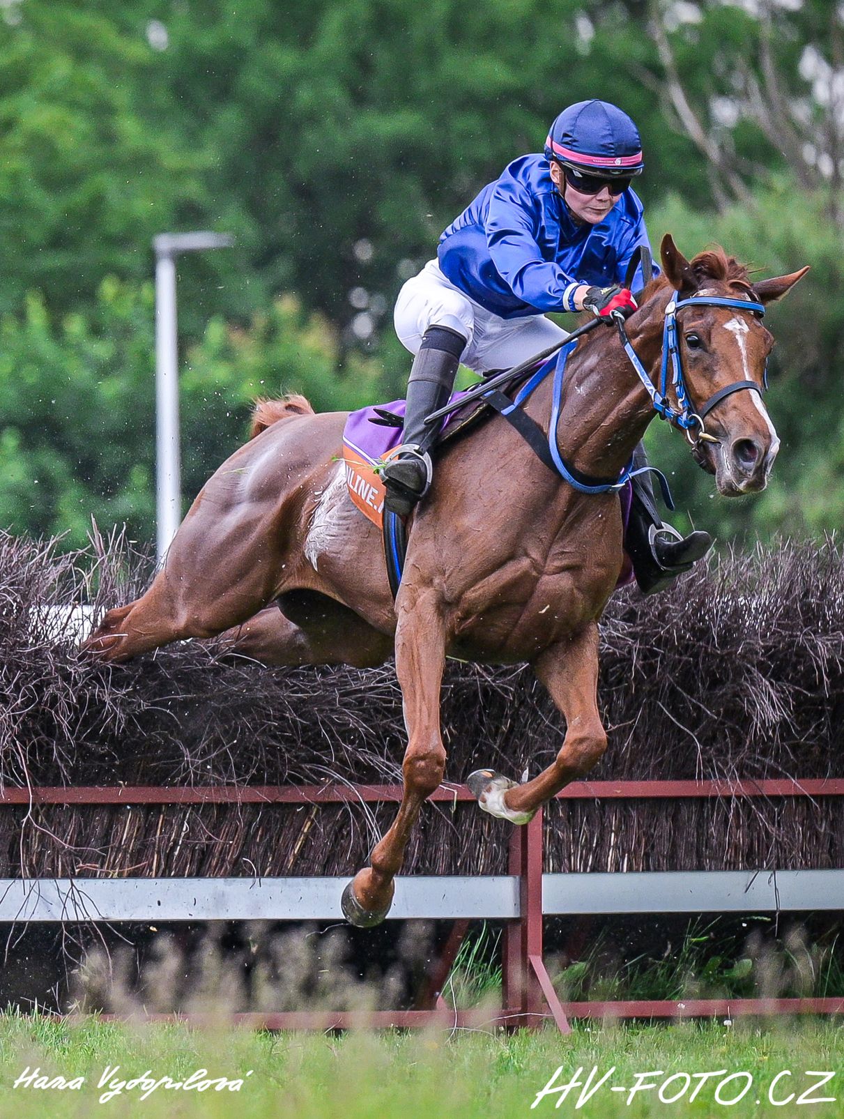 DSC_1777 kopie.jpg